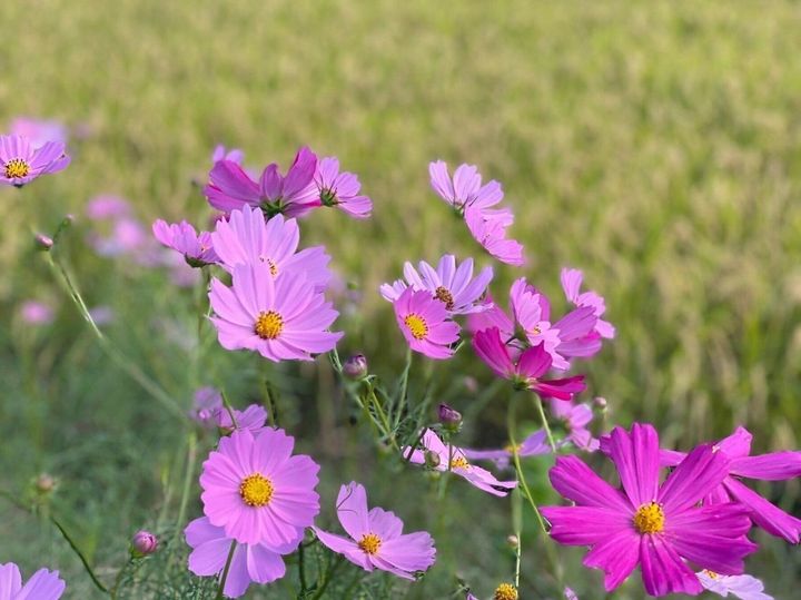 3.非日常が日常になる