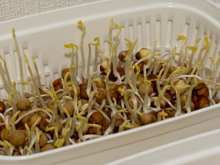 成長過程