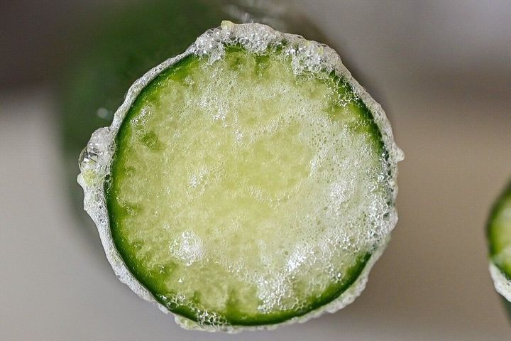 アクがついたきゅうりの断面