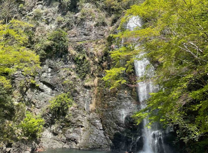 箕面の滝