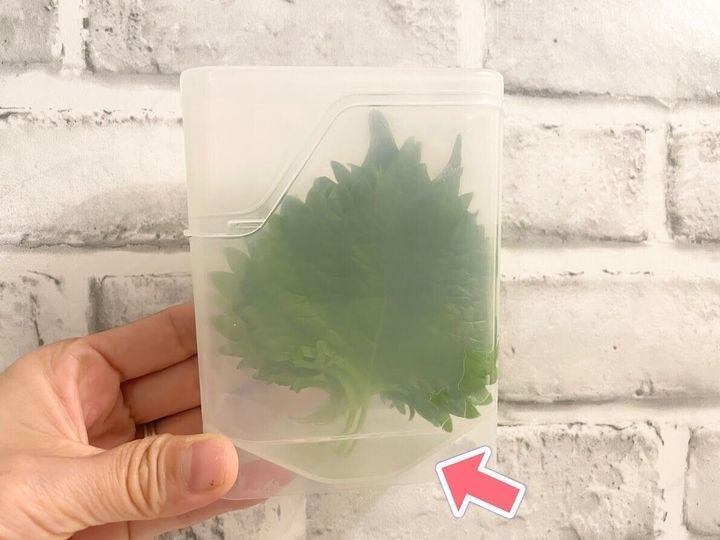 底がVの字になっているから水は少しでいい