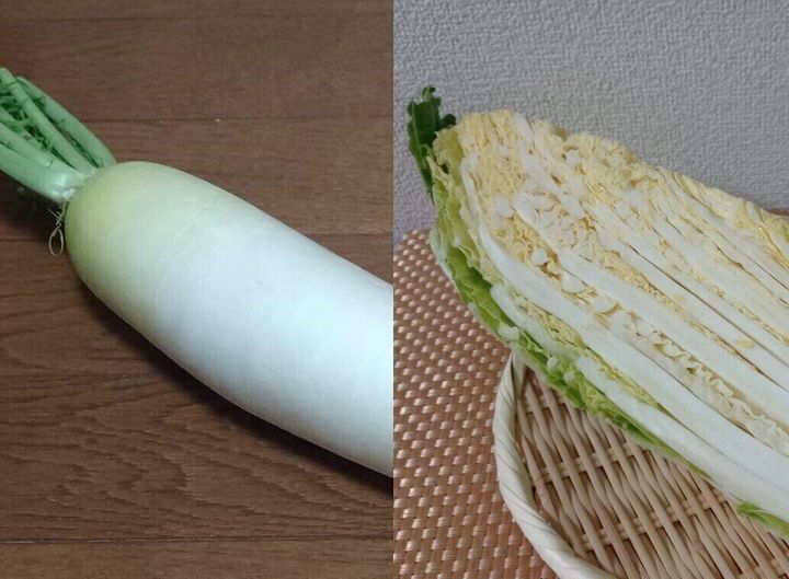 大根と白菜