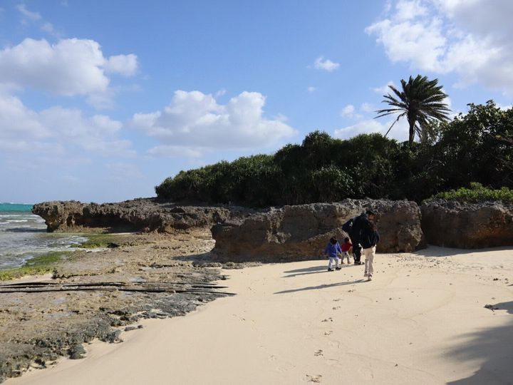 ボーナスで年間計画