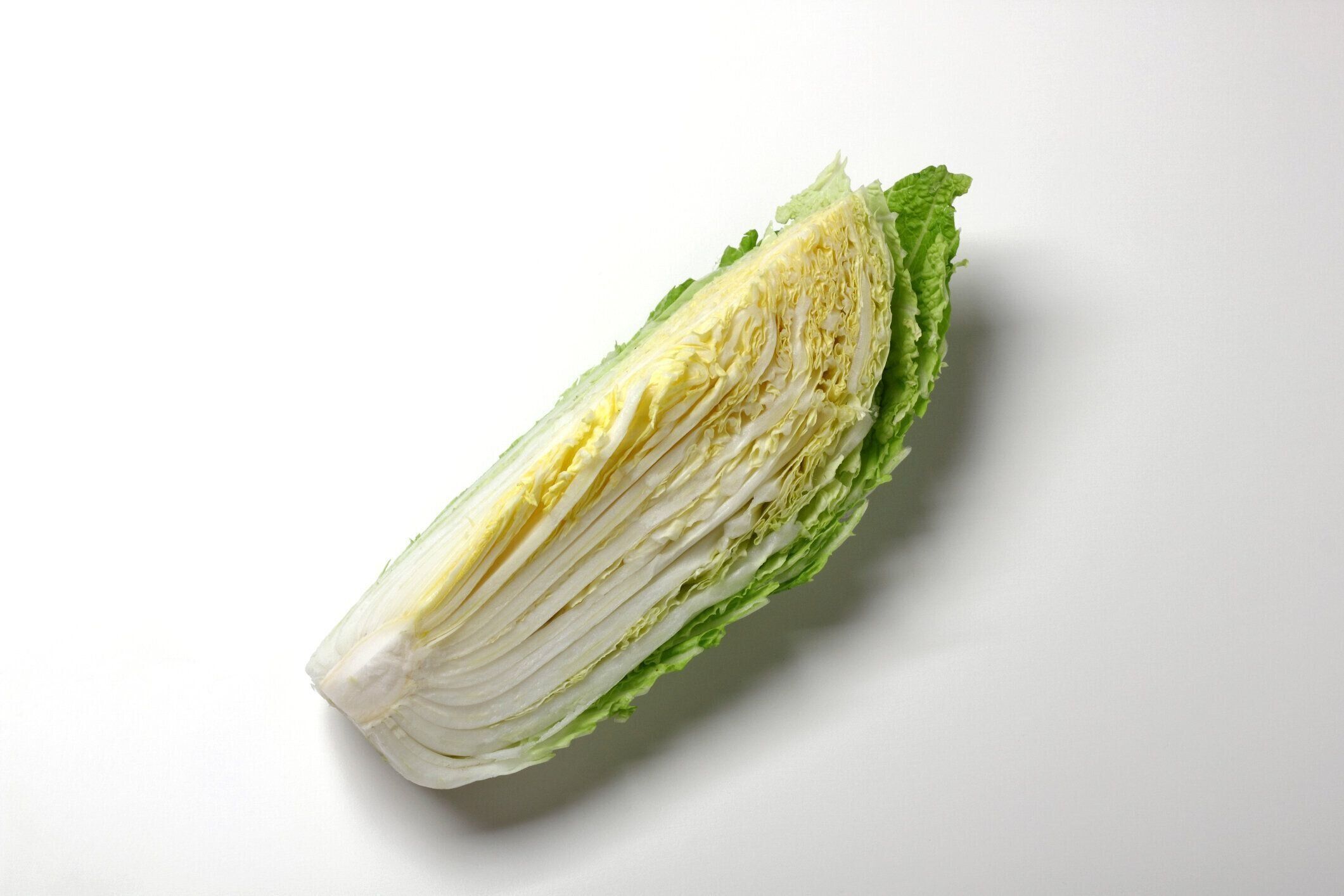 白い背景に白いキャベツ