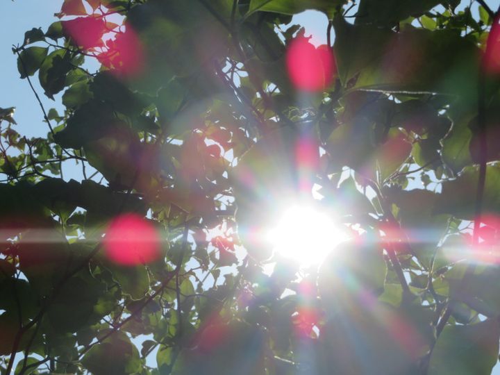 目線は子どもの未来へ