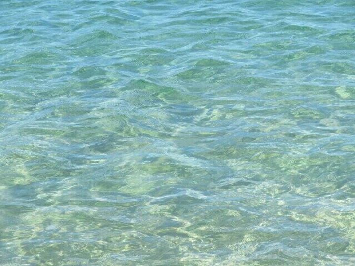 海