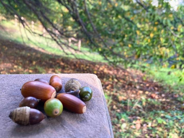 年の瀬前に終わらせると楽!早めにやっておきたい家事3選