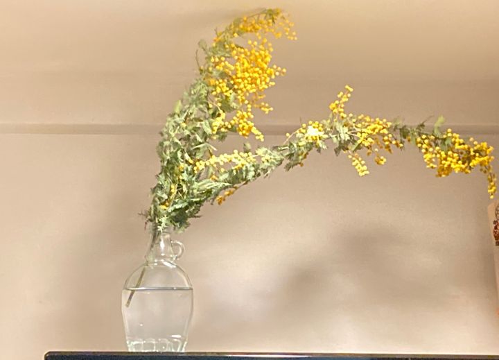 空き瓶活用法3:植物を活ける