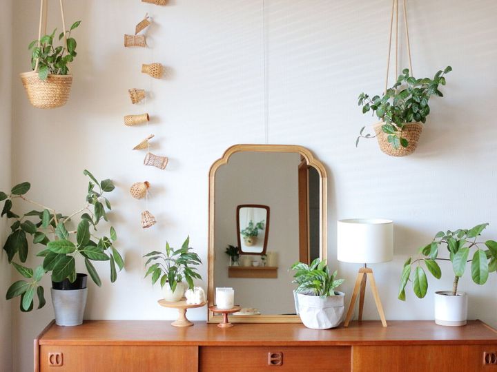 植物のある暮らし