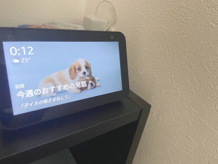 Echo Show