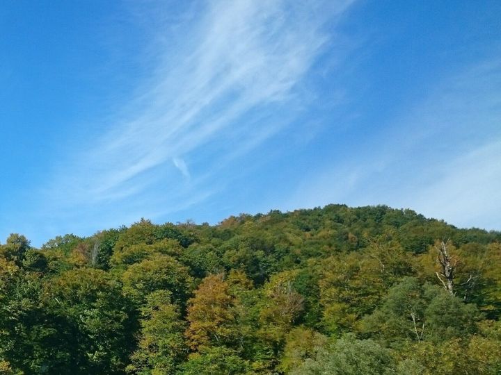 秋の空