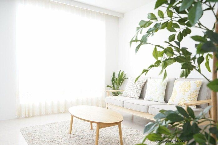 【驚愕】当たり前に持っていたものを手放してみたら家事時短に！その三つの事とは？