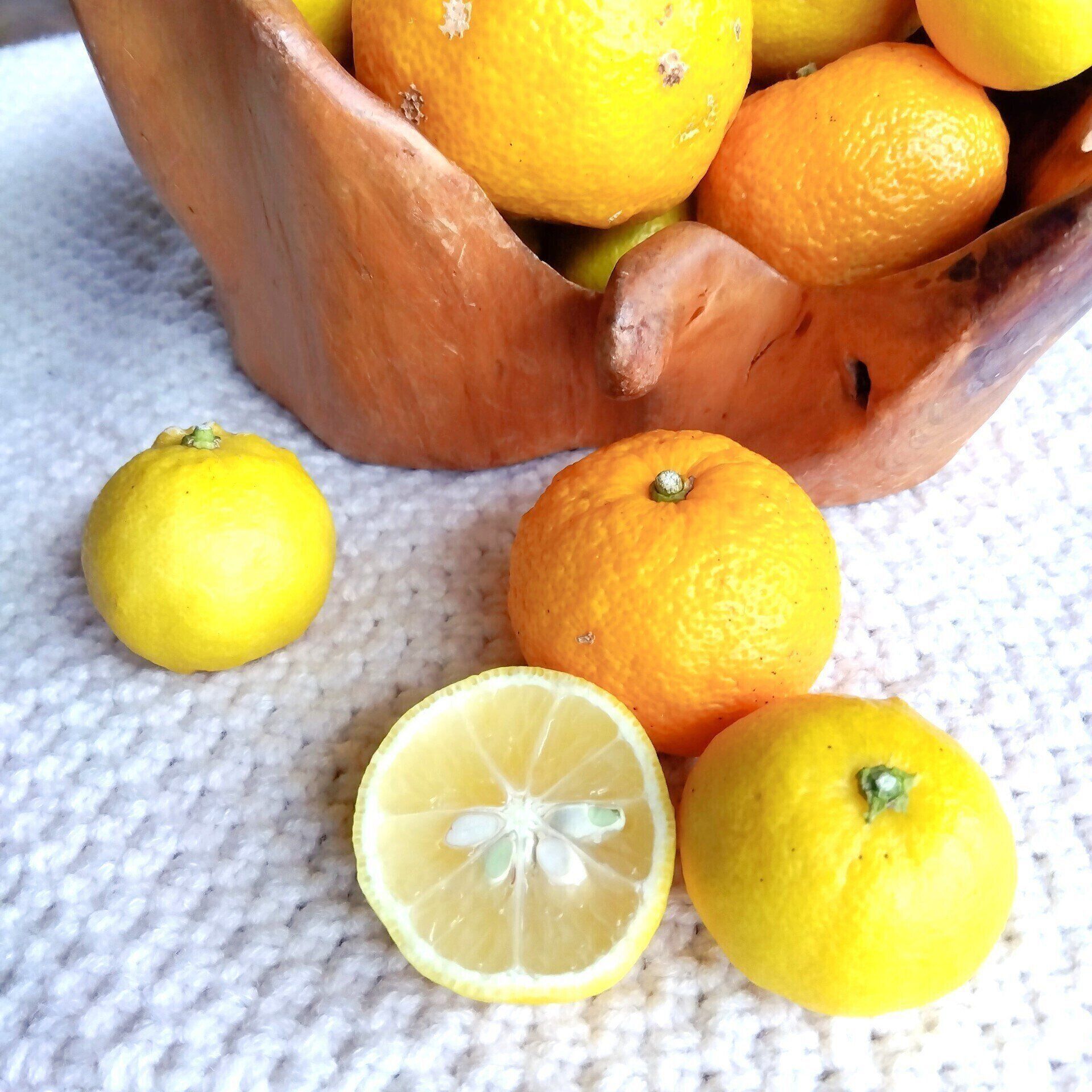 【節約中でも心ゆたかに】108円｢ゆず｣で冬を120％楽しむ