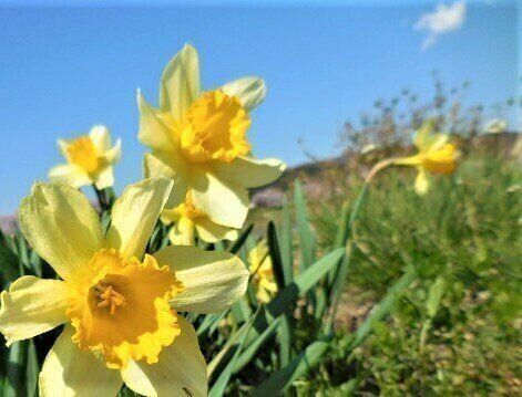 3月はライオンと羊！？慌ただしい時期の天候の注意点を気象予報士が解説！