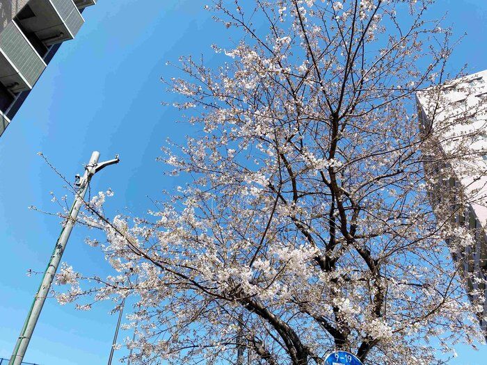 手放す前にチェックしたい！防災グッズに使いまわせる卒業後の学校用品