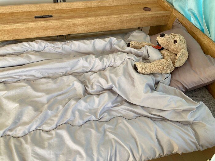 【布団】手放したらラクになった！ズボラ激推し！暖かさ◎の「シンサレート掛け布団」とは