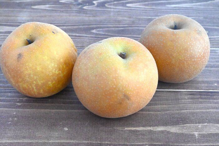 【旬食材】なしを常温に置かないで！２週間後もおいしさキープする保存方法＆簡単レシピ２選