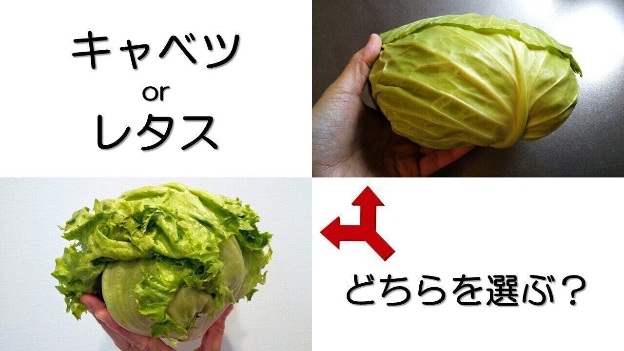 生でも加熱してもおいしい【キャベツ】と【レタス】、選ぶならどっち？目的別おすすめポイントをご紹介！