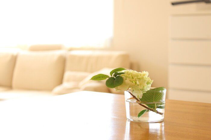 【３児ママが暮らしを見直して手放した３つのこと。】