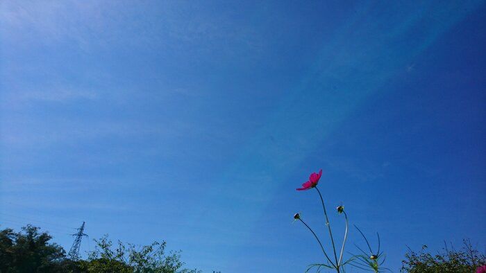 【エコ・SDGs】０円で始めるエコ方法３選