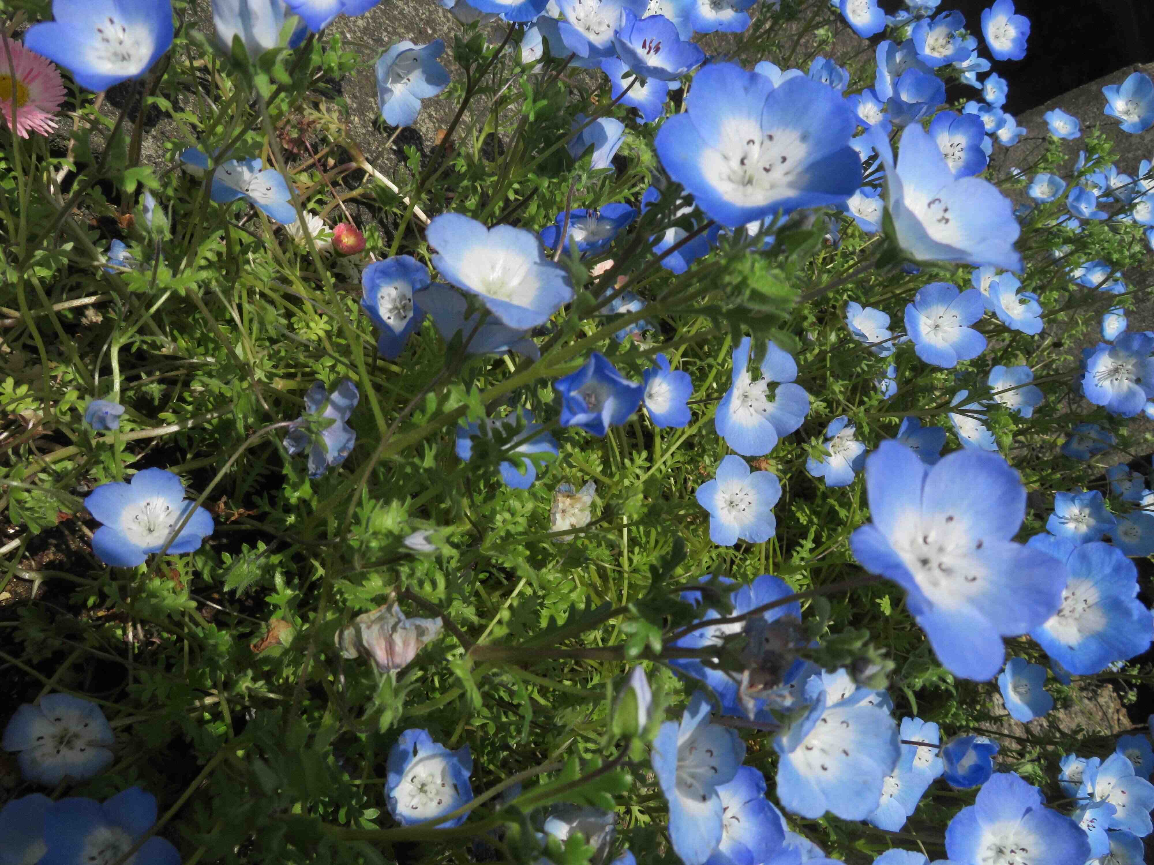 比べることに疲れたら？すごい人を見ても自己肯定感を下げない方法