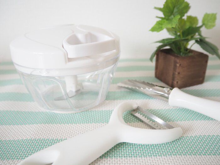 【自己紹介】デグーが大好きなフリーランスライターの増田洋子です