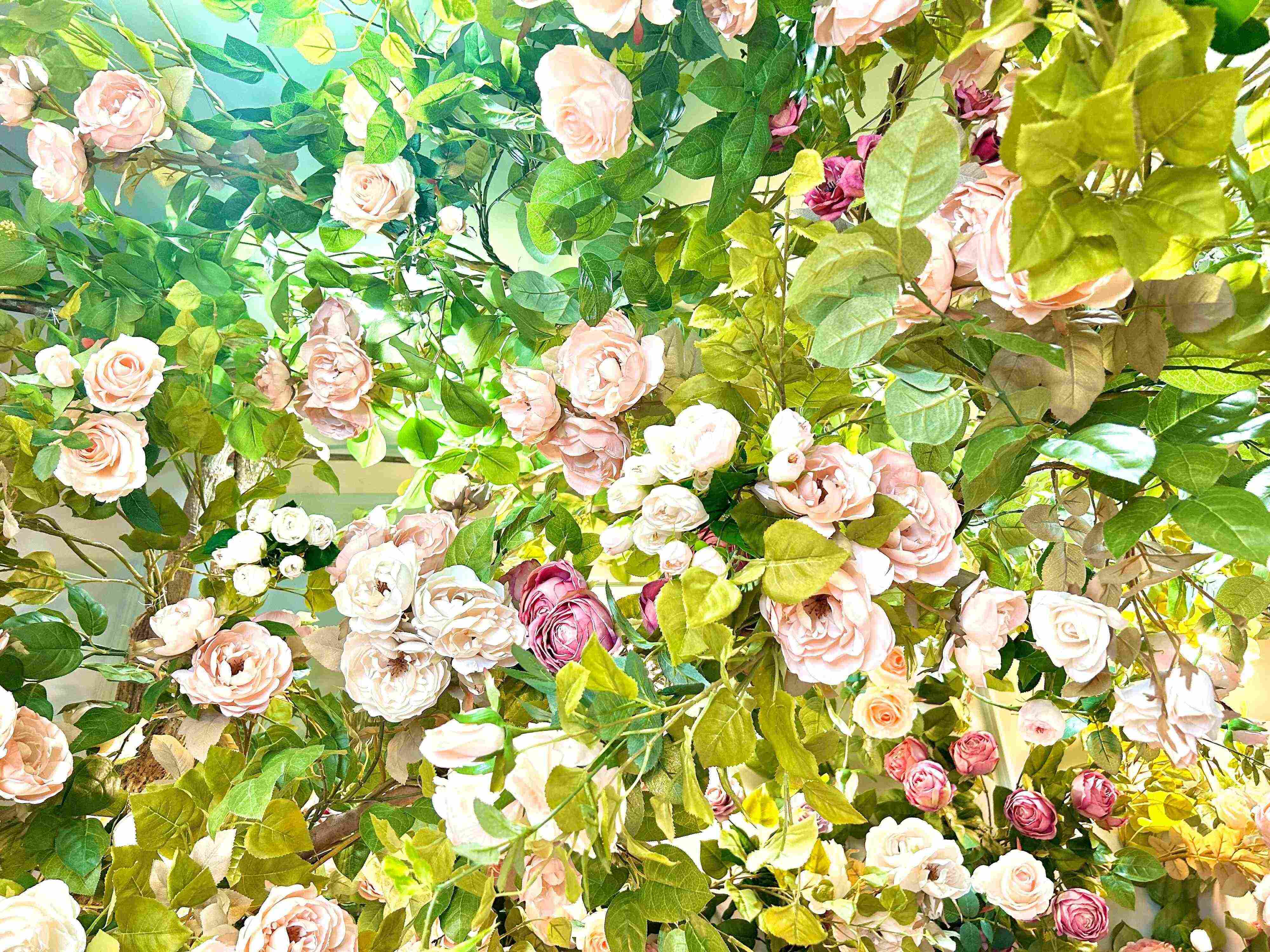 【自己紹介】カワイイモノものと美容の愛好家・お散歩にすとの香月璃莉です