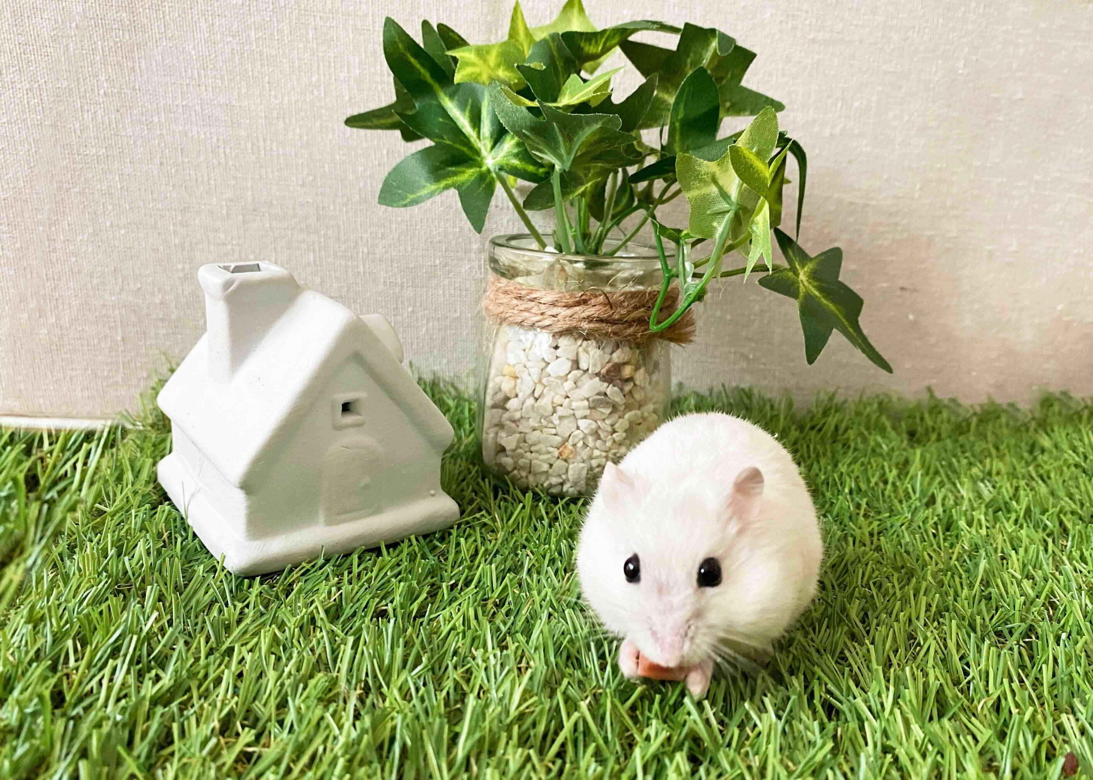 【自己紹介】元・絵本編集者。週７日ワンオペ・ワーママのサンキュ！STYLEライター・こうむらゆうこです