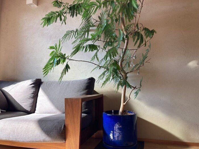 【収納・片付け】モノも刺激　HSPにとって快適な暮らしと空間