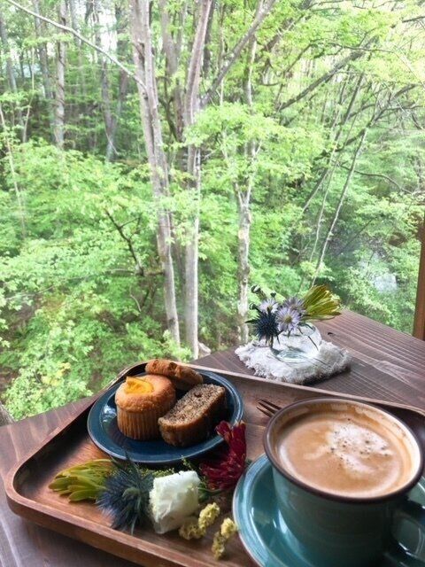 〈愉しくオバさんを生きていく。〉白髪染め・トイレ掃除に寝具の洗濯～みなさまの質問にお答えしちゃう～