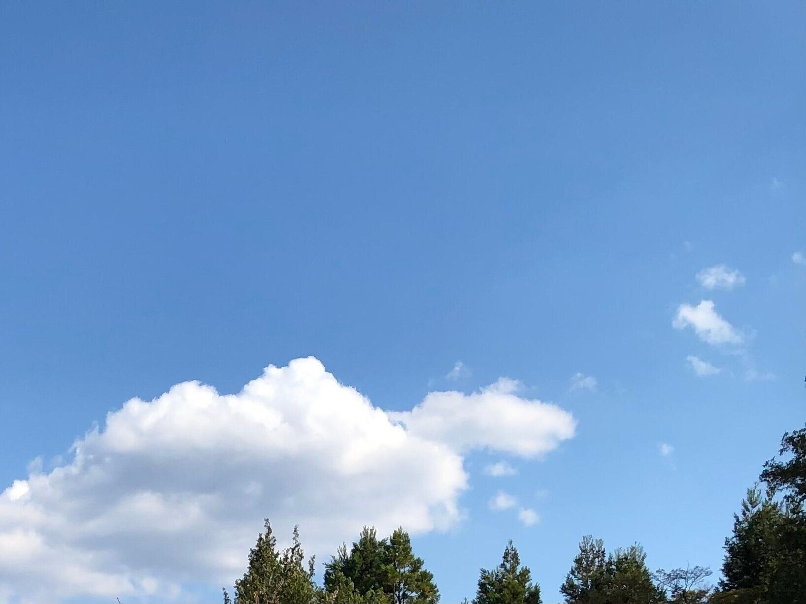 やっぱり歩くことは大切！ウォーキングの良いところ