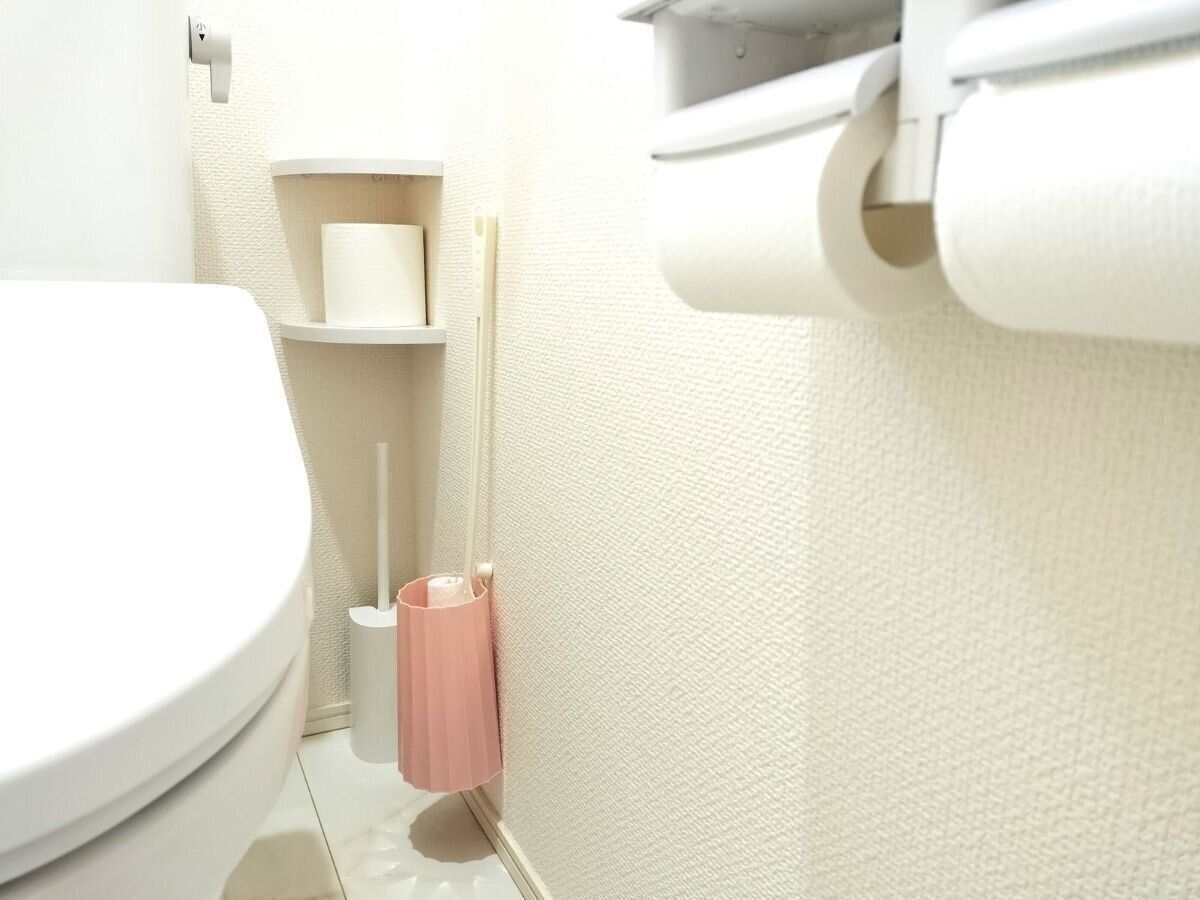 やっとトイレ掃除が習慣化！話題のアイテムを見事に目隠ししてくれた救世主！