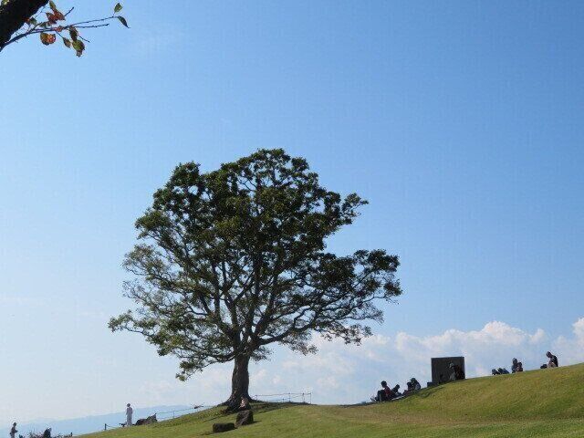 何もしないぜいたく……「何かしていないと不安」から抜け出そう