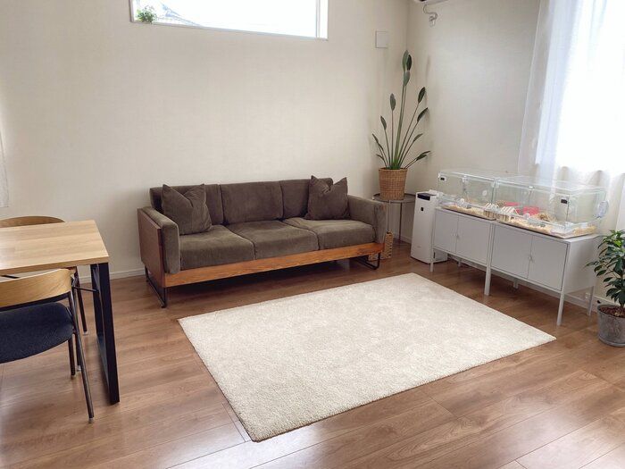 一度手放したのに！再びソファのある暮らしになった理由