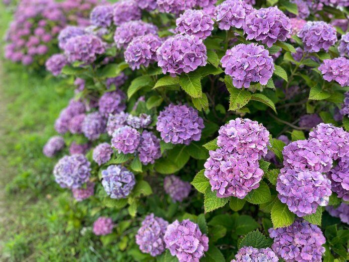 辞令は突然に…怒涛の上半期を振り返る！そして下半期挑戦したいこと