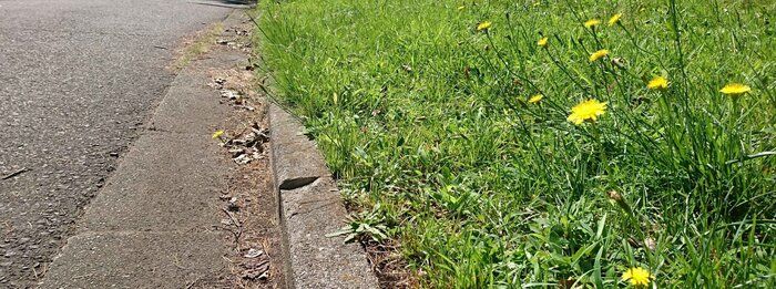 買い物方法でエコにも繋がる！？