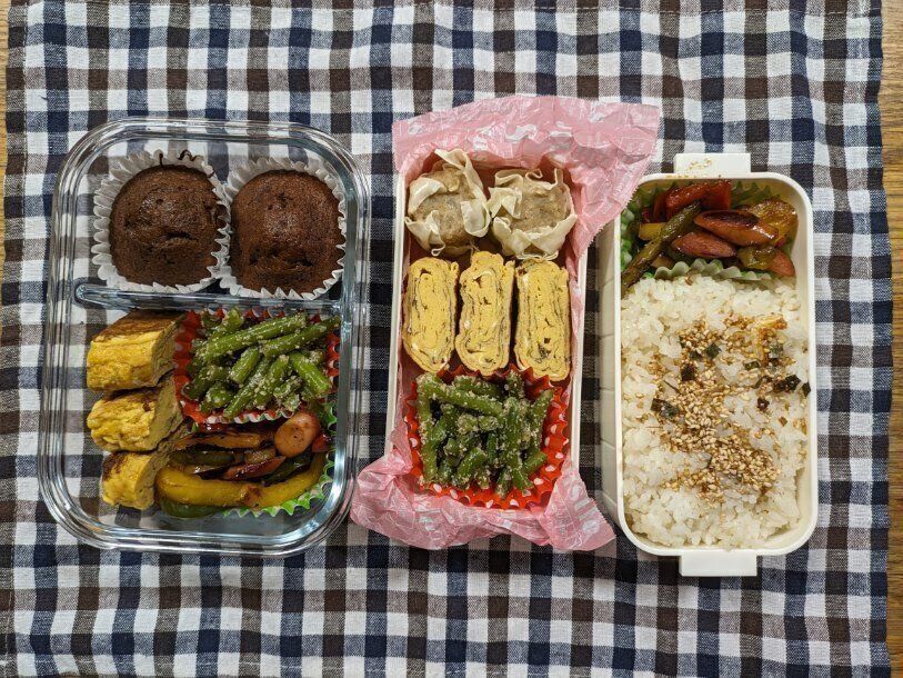 【お弁当】本日も節約弁当なり１７