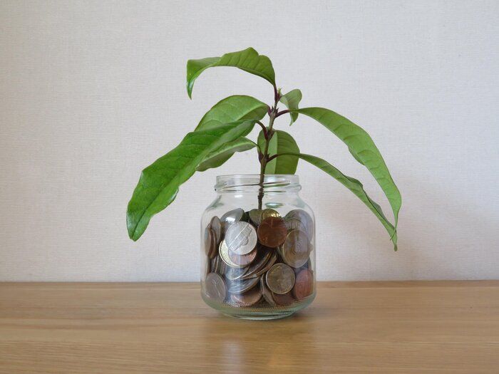 エシカル消費を考える！「良いものは高い」の悩みをクリアにする方法