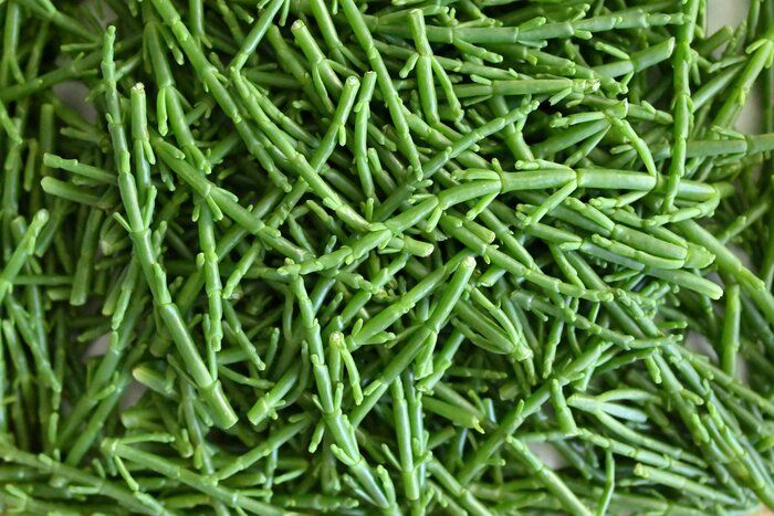 【コストコ】アンチエイジング効果有り！栄養たっぷりシーアスパラガスを食べよう＆簡単アレンジレシピ3選