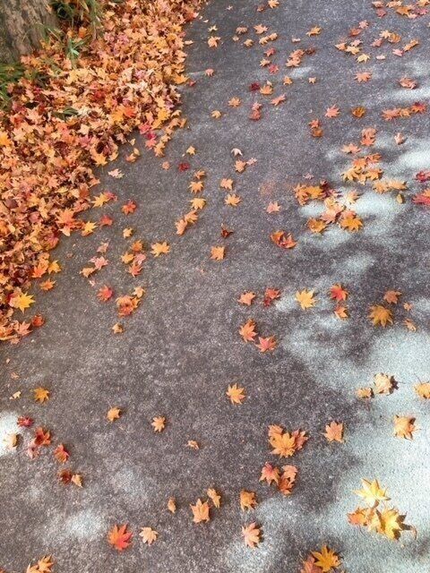 〈愉しくオバさんを生きていく。〉目指したいのは「手の動きが優美な人」