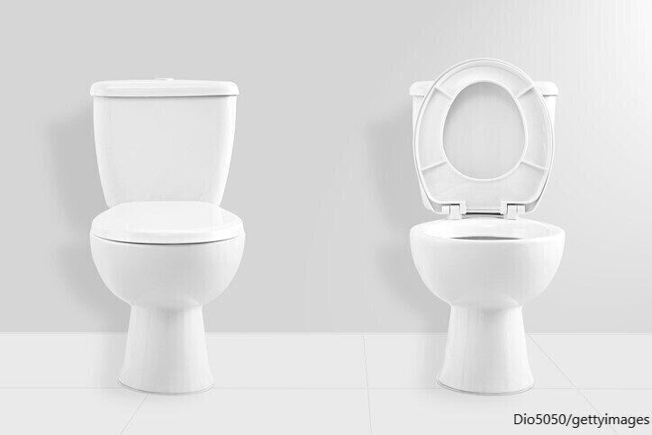 【自由研究】まだ間に合うすぐできる自由研究を紹介します！ウンチのヒミツ