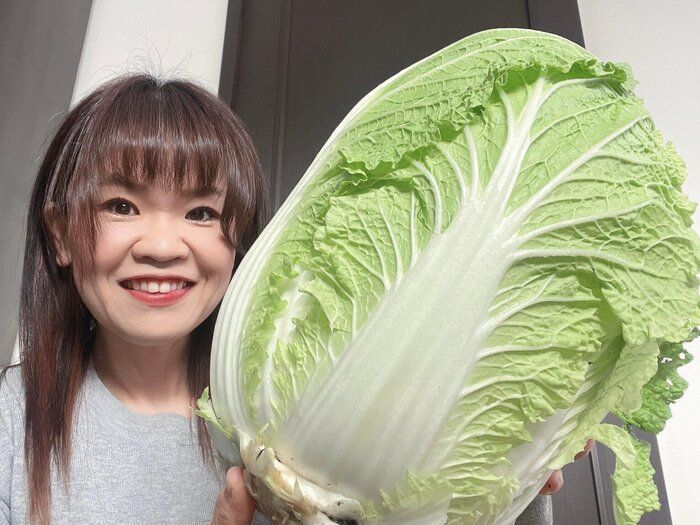 【旬食材】白菜を使った【節約】トロミレシピ2選