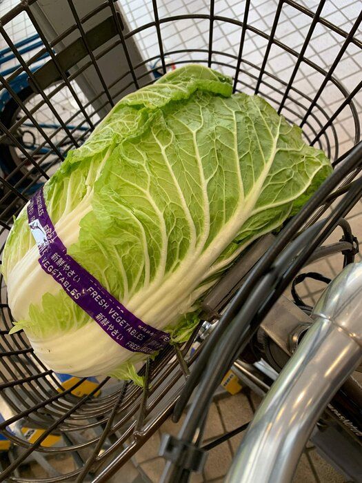 【今年は白菜が安い】節約やダイエットにはやっぱりコレ！