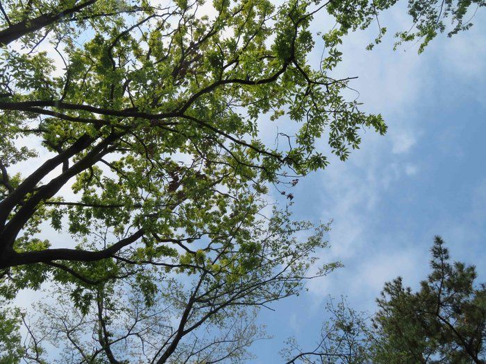 初老と言うべきか不惑と言うべきか 40歳になりました サンキュ Style