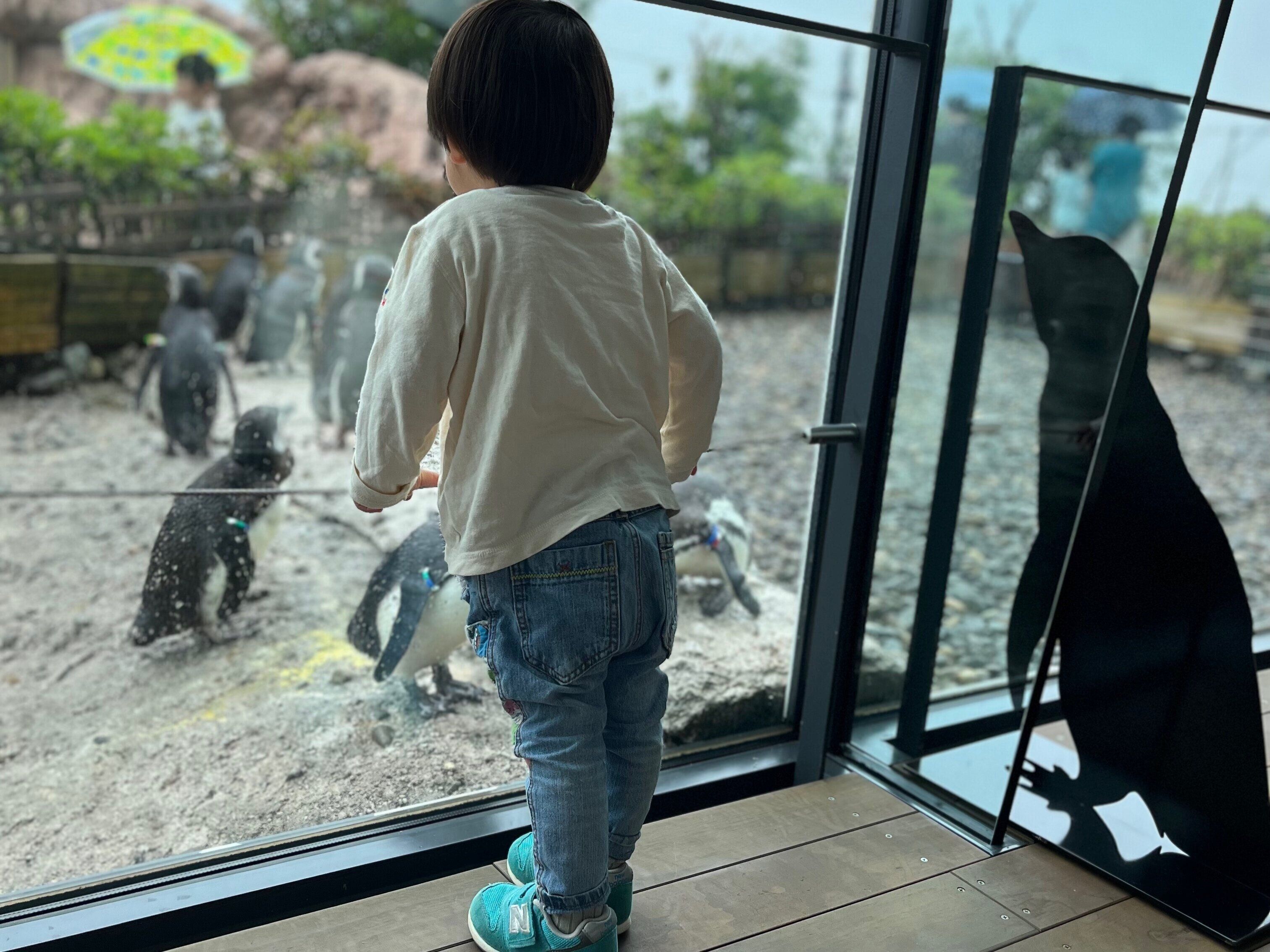 【主婦にも休日を】え？こんなに安く泊まれるの？誰も教えてくれなかった裏ワザ旅行術を大公開