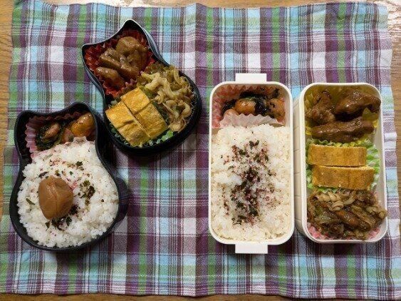 【お弁当】本日も節約弁当なり２６