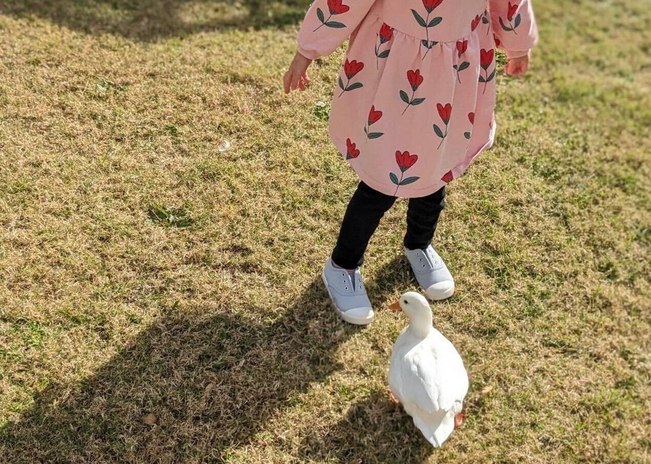 【家族会議】「ペットが飼いたい」子どもたちの願いに家族で話し合い！田舎子育て