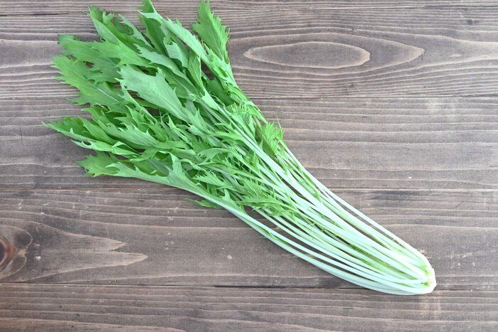 【旬食材】シャキシャキ食感がおいしい！水菜1袋をおいしく食べ切ろう！水菜レシピ3選