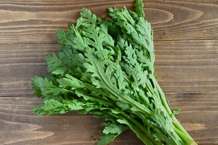 【旬食材】栄養たっぷりの春菊をもっと気軽に味わおう♪少量～大量消費まで！春菊レシピ3選