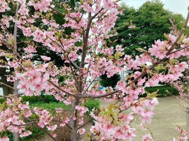 〈愉しくオバさんを生きていく。〉わからないことはどんどん聞いちゃう